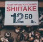 Certified organic Shiitake