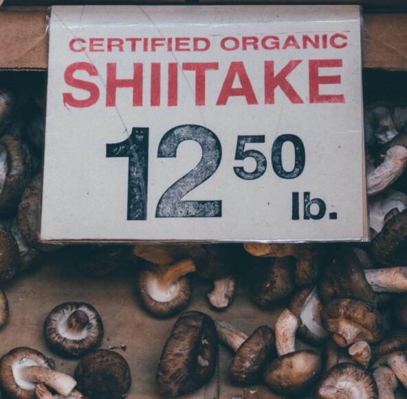 Certified organic Shiitake